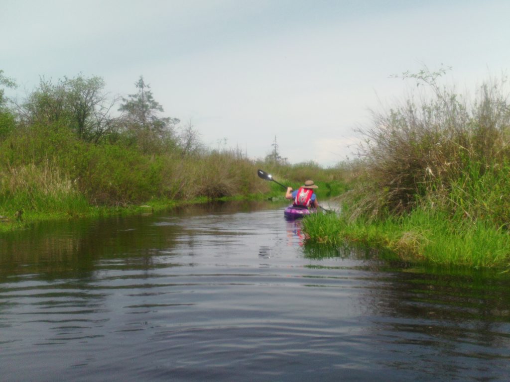 Lee Cuesta kayak in Catherine Creek wetlands of Lake Cassidy.