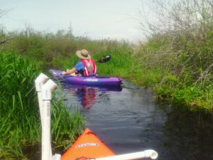 Lee Cuesta kayak in Catherine Creek wetlands of Lake Cassidy.